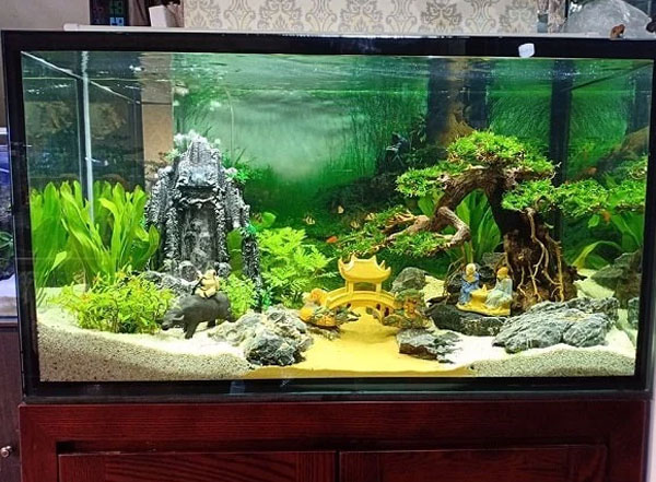 kính bể cá hải phòng