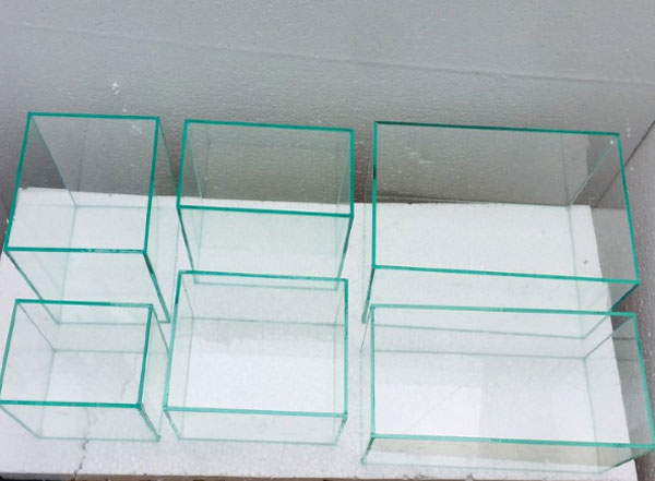 kính bể cá ở hải phòng