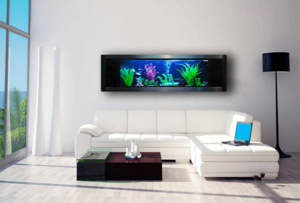 bể cá treo tường ở hải phòng