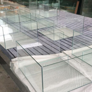 cắt kính bể cá ở hải phòng